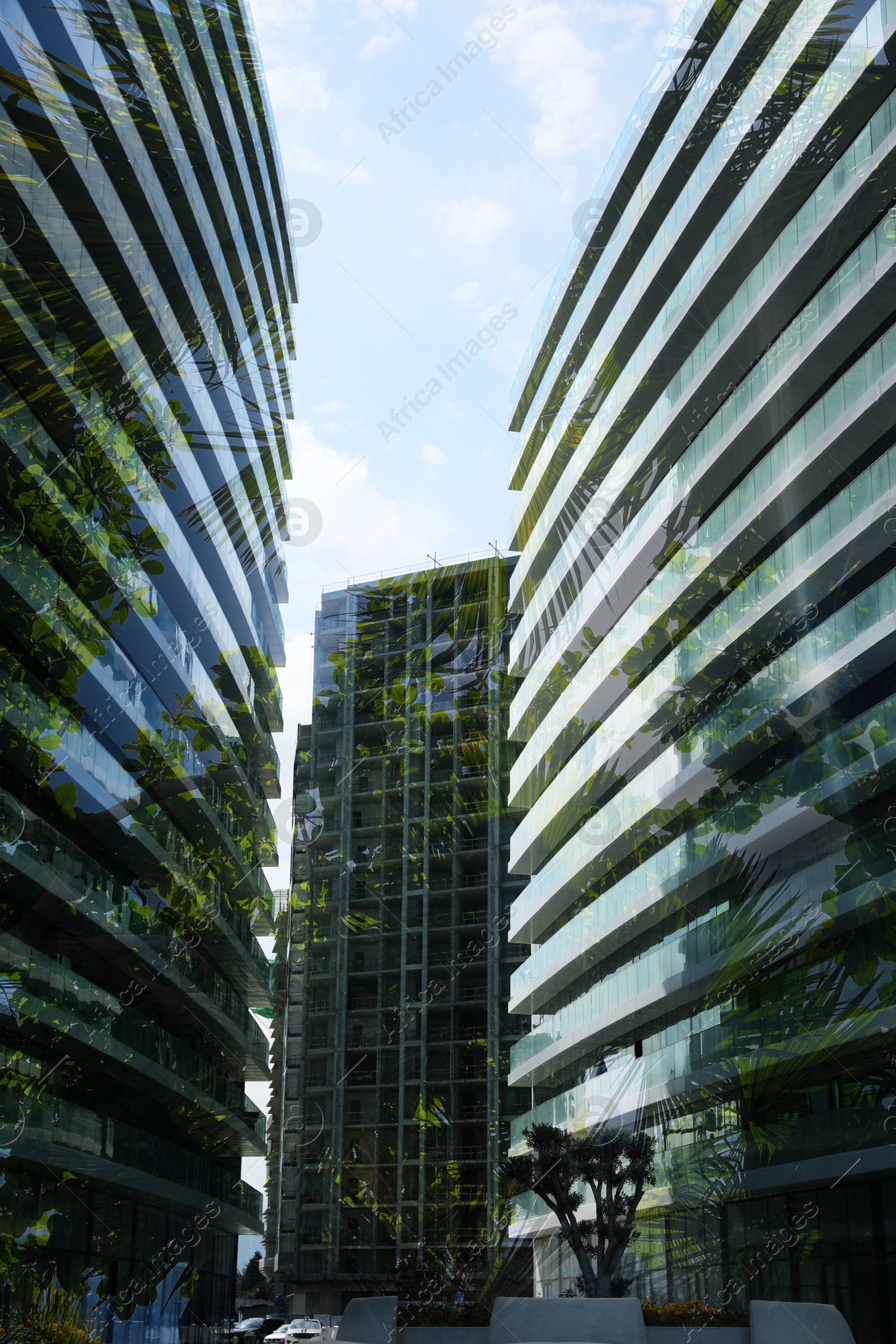 Modern buildings and lush trees against blue sky, double exposure. Low angle view Image of Modern buildings and lush trees against blue sky, double exposure. Low angle view