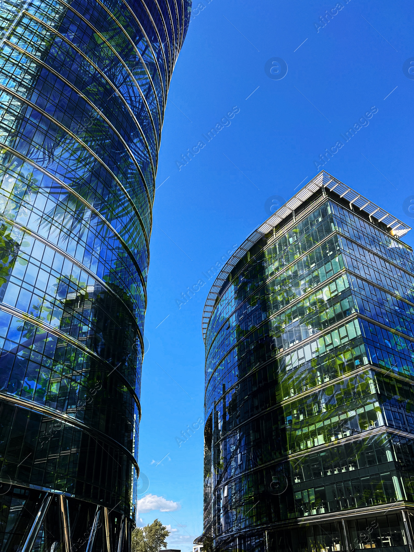 Modern skyscrapers and lush trees against blue sky, double exposure. Low angle view Image of Modern skyscrapers and lush trees against blue sky, double exposure. Low angle view