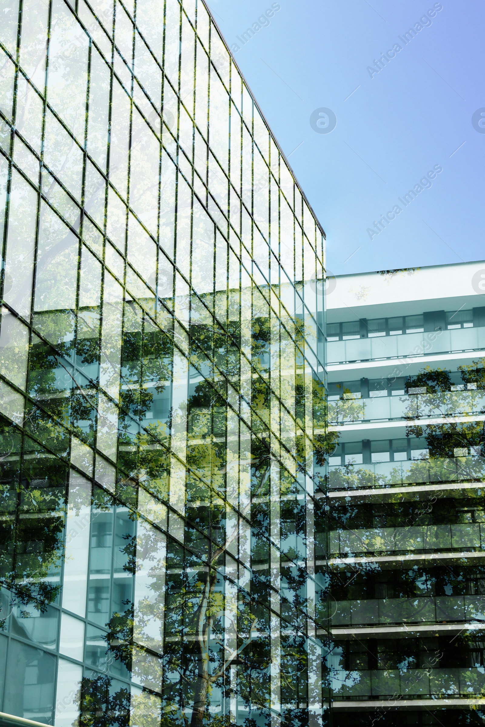 Modern buildings and lush tree against blue sky, double exposure Image of Modern buildings and lush tree against blue sky, double exposure