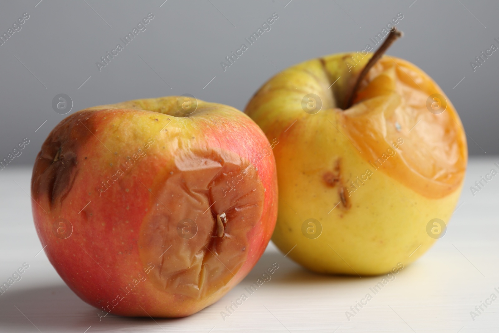 Rotten apples on white wooden table against grey background, closeup Photo of Rotten apples on white wooden table against grey background, closeup