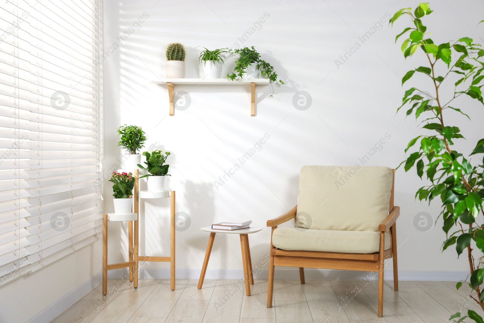 Green potted houseplants and armchair near white wall indoors Photo of Green potted houseplants and armchair near white wall indoors