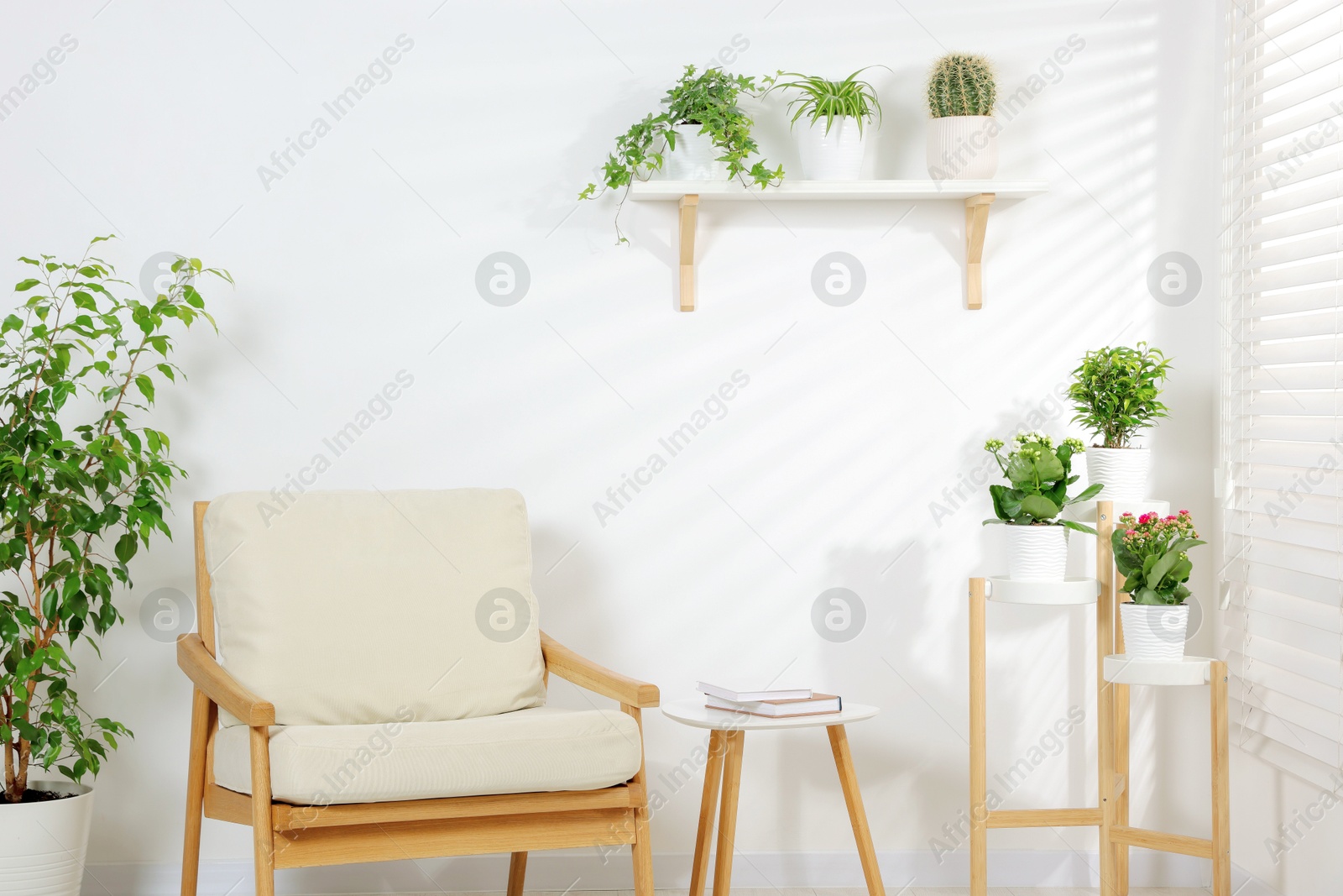 Green potted houseplants and armchair near white wall indoors Photo of Green potted houseplants and armchair near white wall indoors