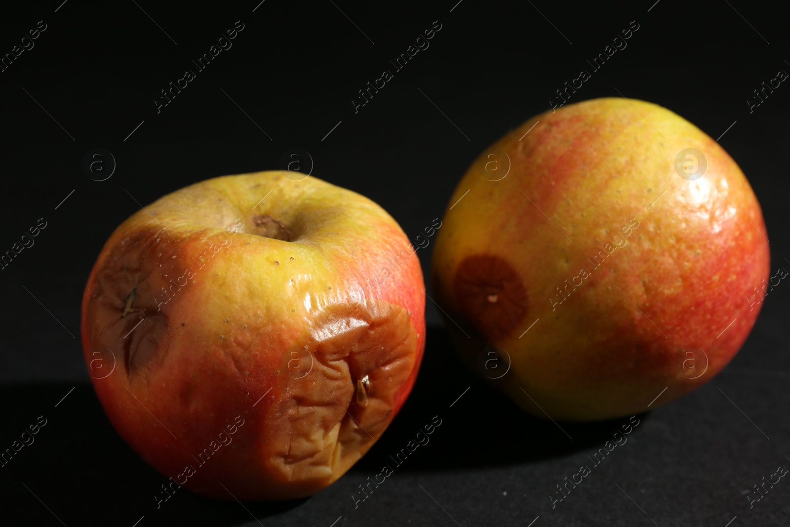 Two rotten apples on black background, closeup Photo of Two rotten apples on black background, closeup