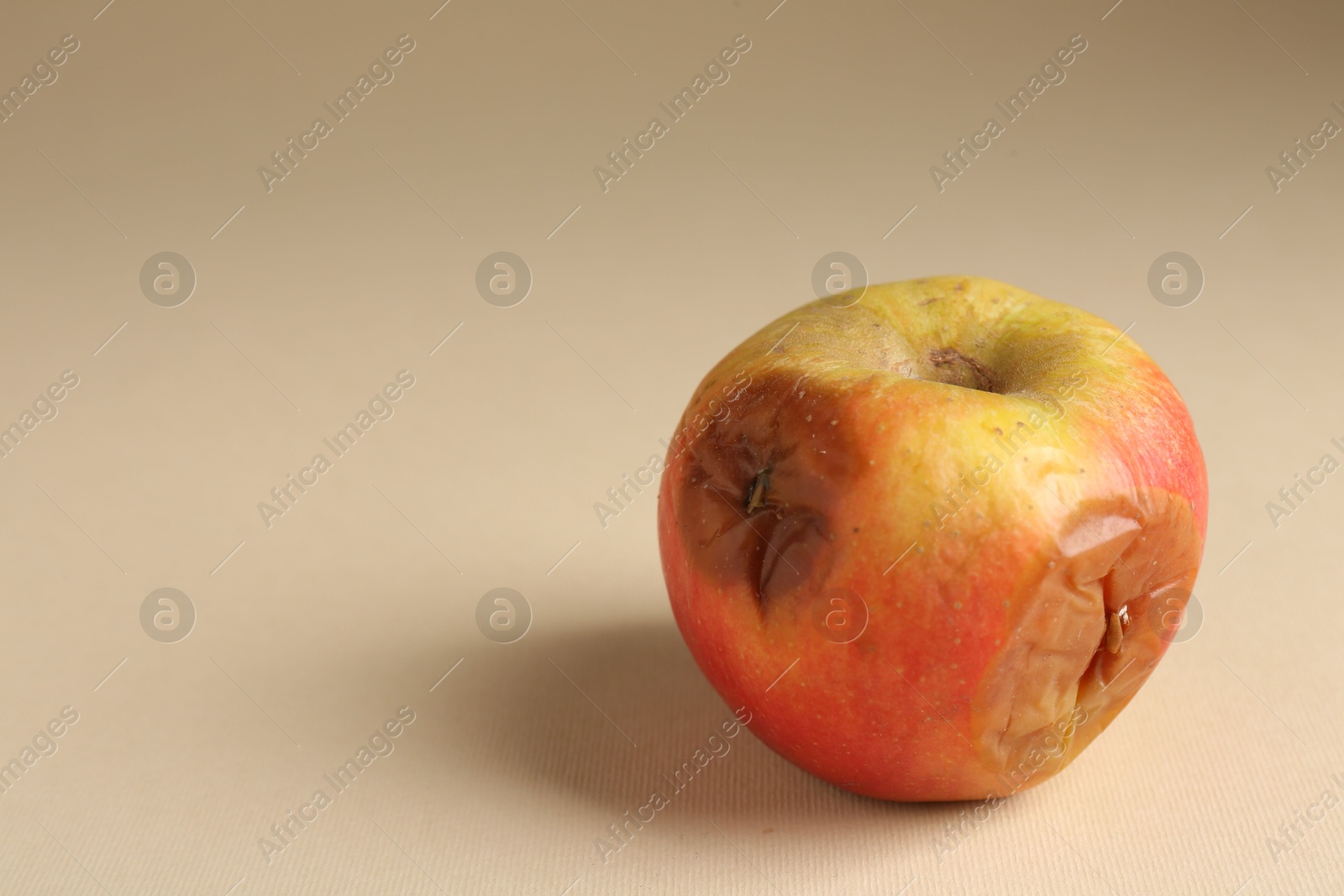 One rotten apple on beige background, closeup. Space for text Photo of One rotten apple on beige background, closeup. Space for text