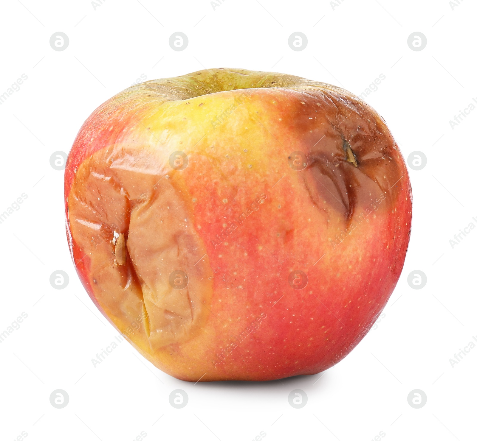 One whole rotten apple isolated on white Photo of One whole rotten apple isolated on white