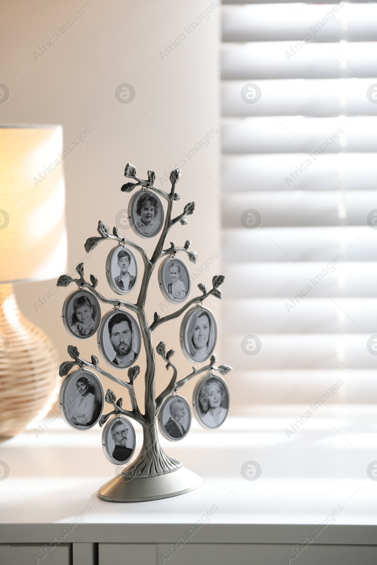 Family tree photo frame on white chest of drawers indoors Photo of Family tree photo frame on white chest of drawers indoors