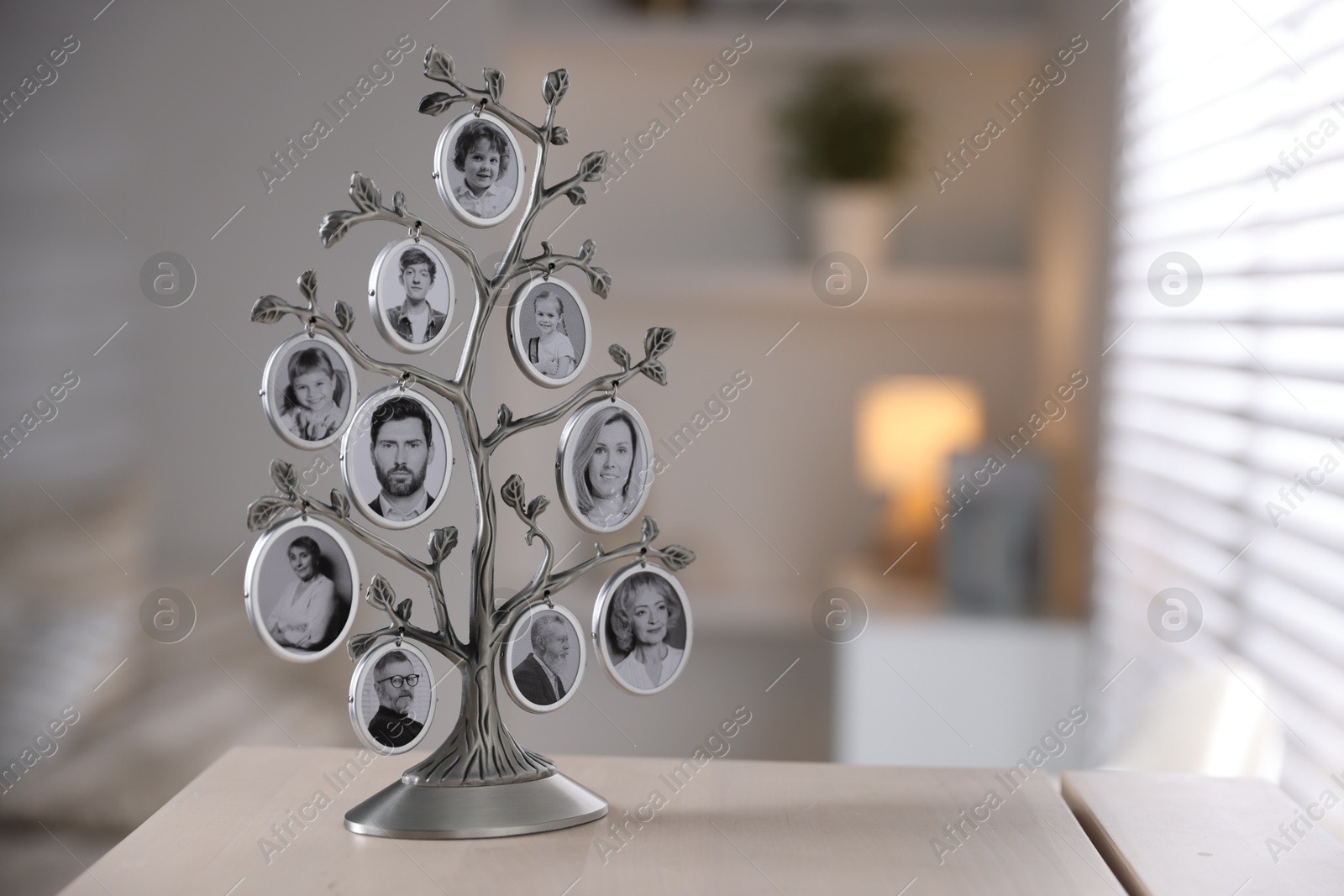 Family tree photo frame on wooden chest of drawers indoors. Space for text Photo of Family tree photo frame on wooden chest of drawers indoors. Space for text