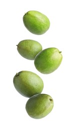 Image of Fresh guava fruits falling on white background