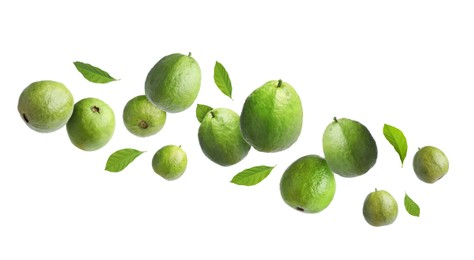 Image of Fresh guava fruits and leaves flying on white background