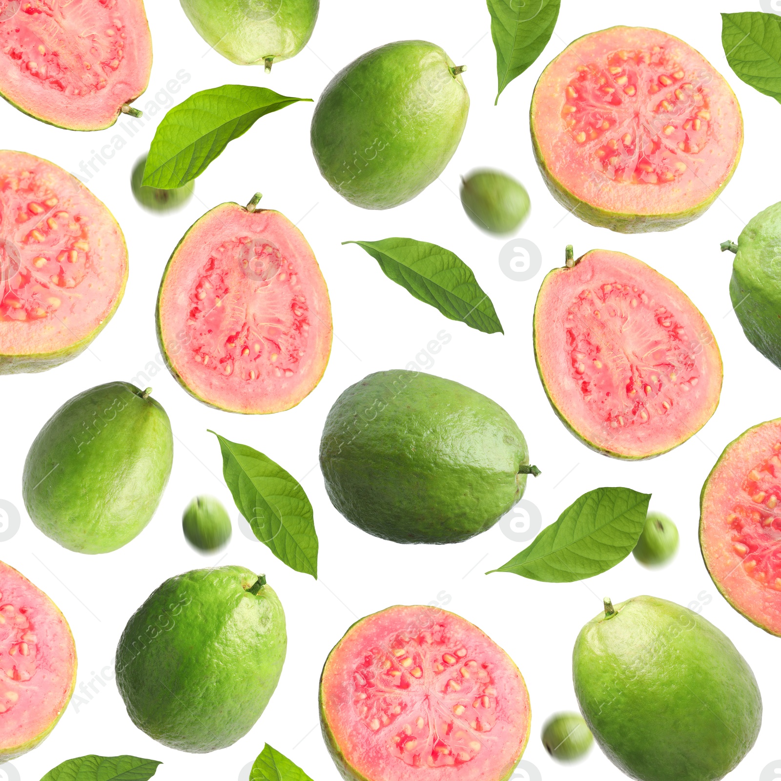 Fresh guava fruits and leaves flying on white background Image of Fresh guava fruits and leaves flying on white background