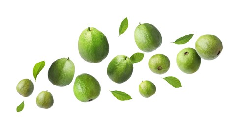 Image of Fresh guava fruits and leaves flying on white background