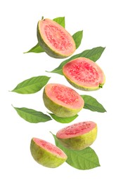 Image of Fresh guavas. Pieces of fruits and leaves flying on white background