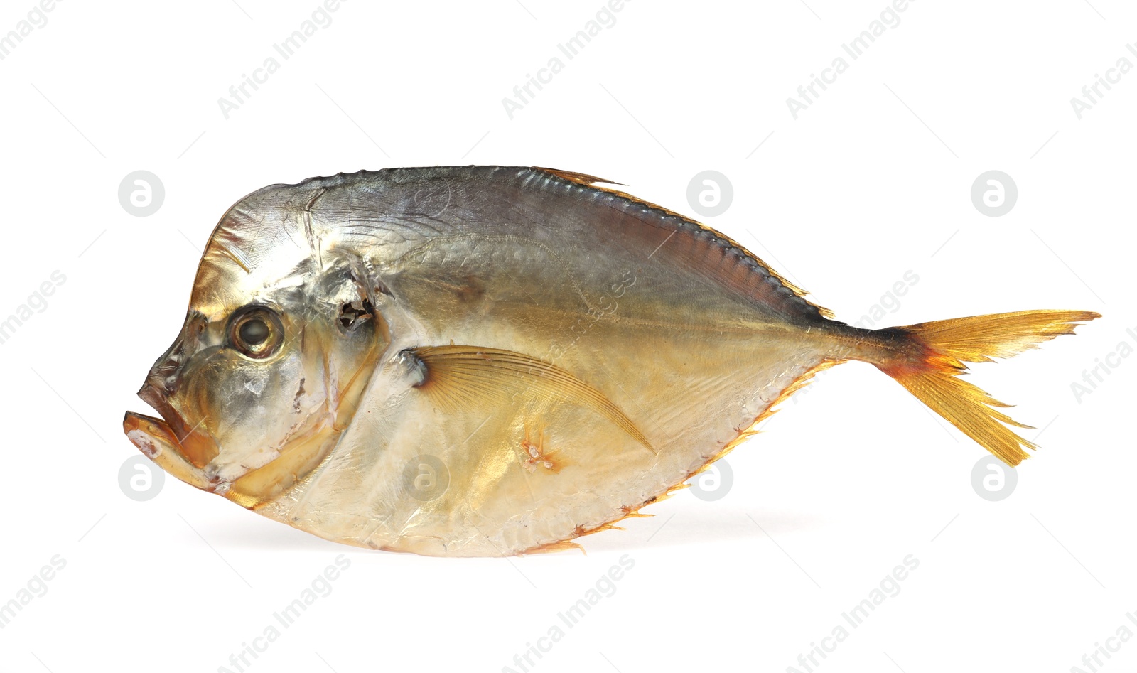 One dried moonfish isolated on white. Salty snack Photo of One dried moonfish isolated on white. Salty snack