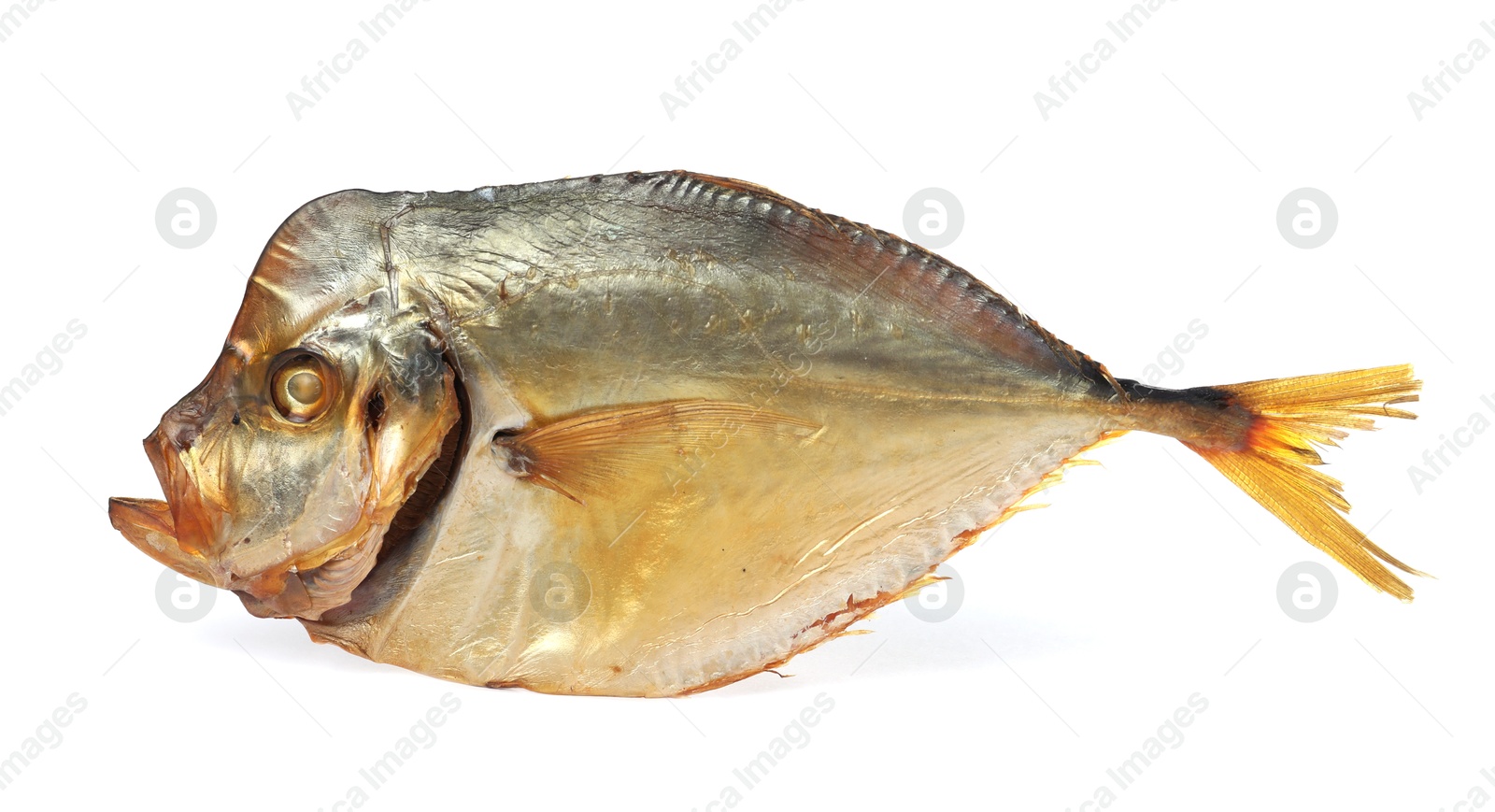 One dried moonfish isolated on white. Salty snack Photo of One dried moonfish isolated on white. Salty snack