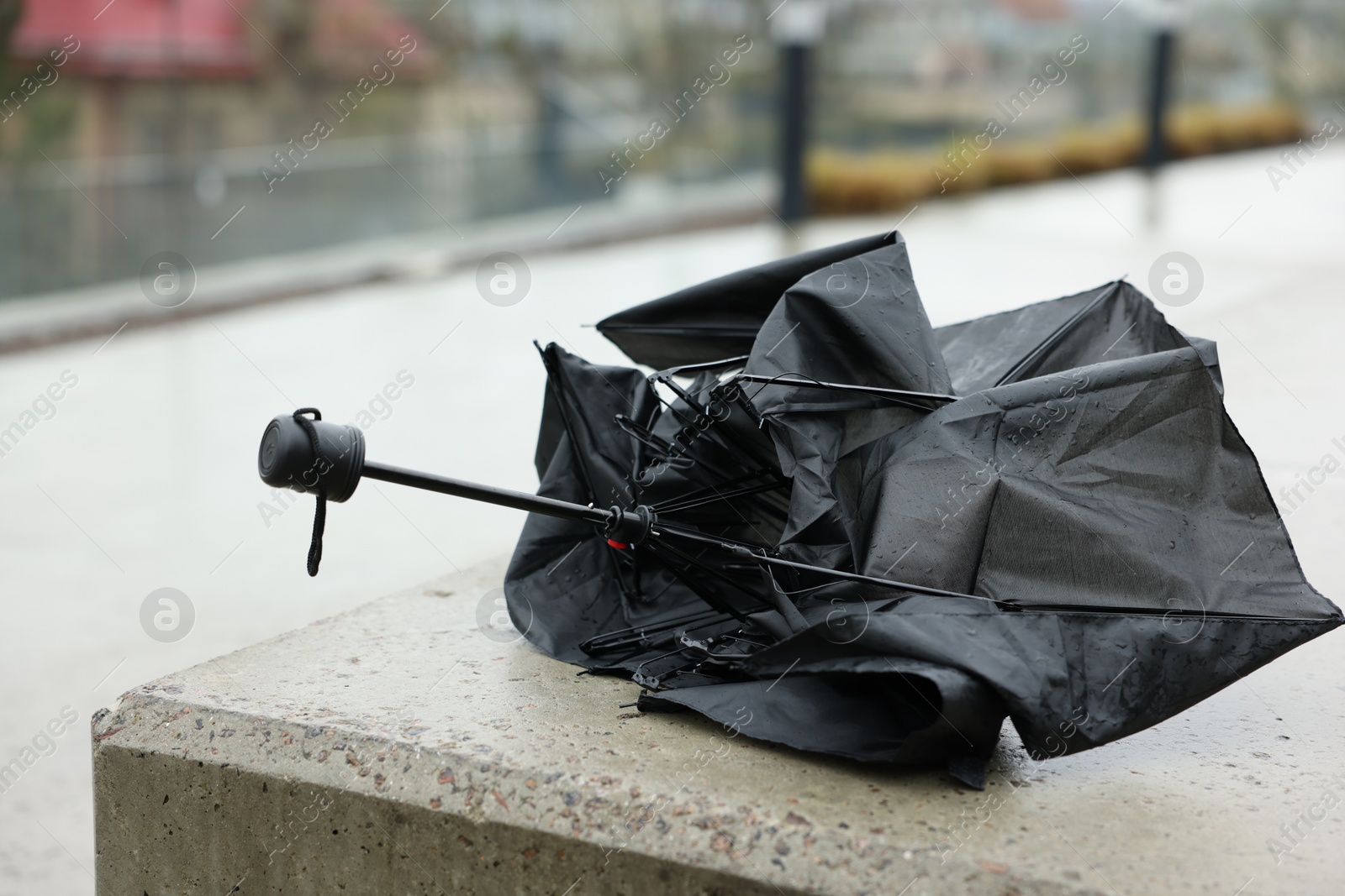 Broken black umbrella on wet parapet outdoors Photo of Broken black umbrella on wet parapet outdoors