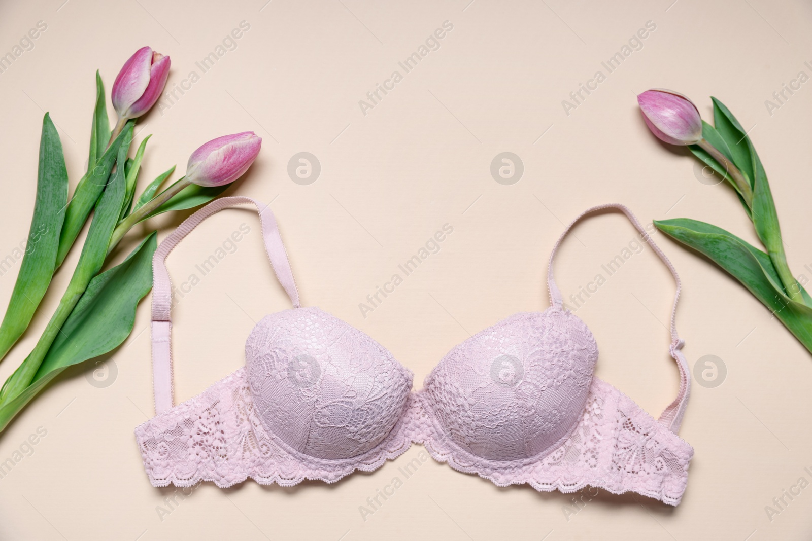 Pink lace bra and tulip flowers on beige background, flat lay Photo of Pink lace bra and tulip flowers on beige background, flat lay