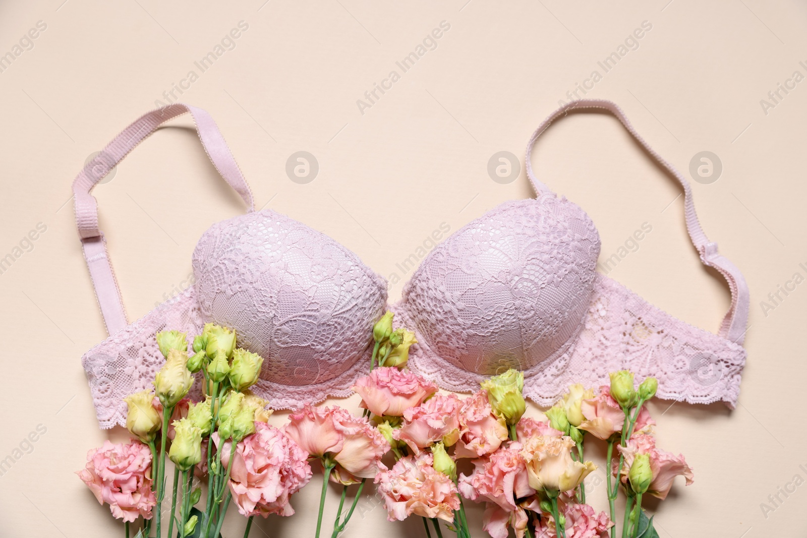Pink lace bra and eustoma flowers on beige background, flat lay Photo of Pink lace bra and eustoma flowers on beige background, flat lay