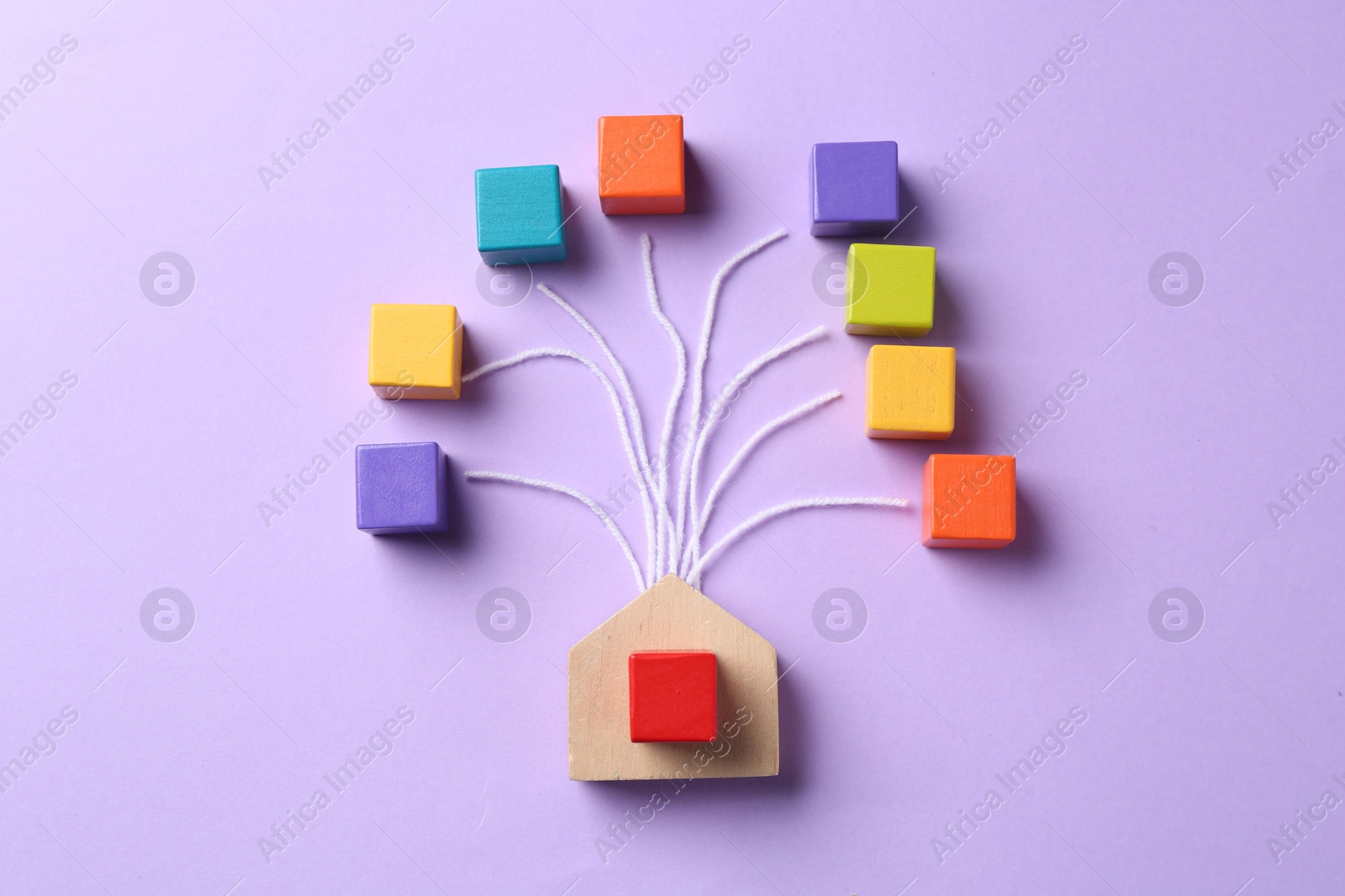 Family tree made with colorful cubes and house figure on lilac background, top view Photo of Family tree made with colorful cubes and house figure on lilac background, top view
