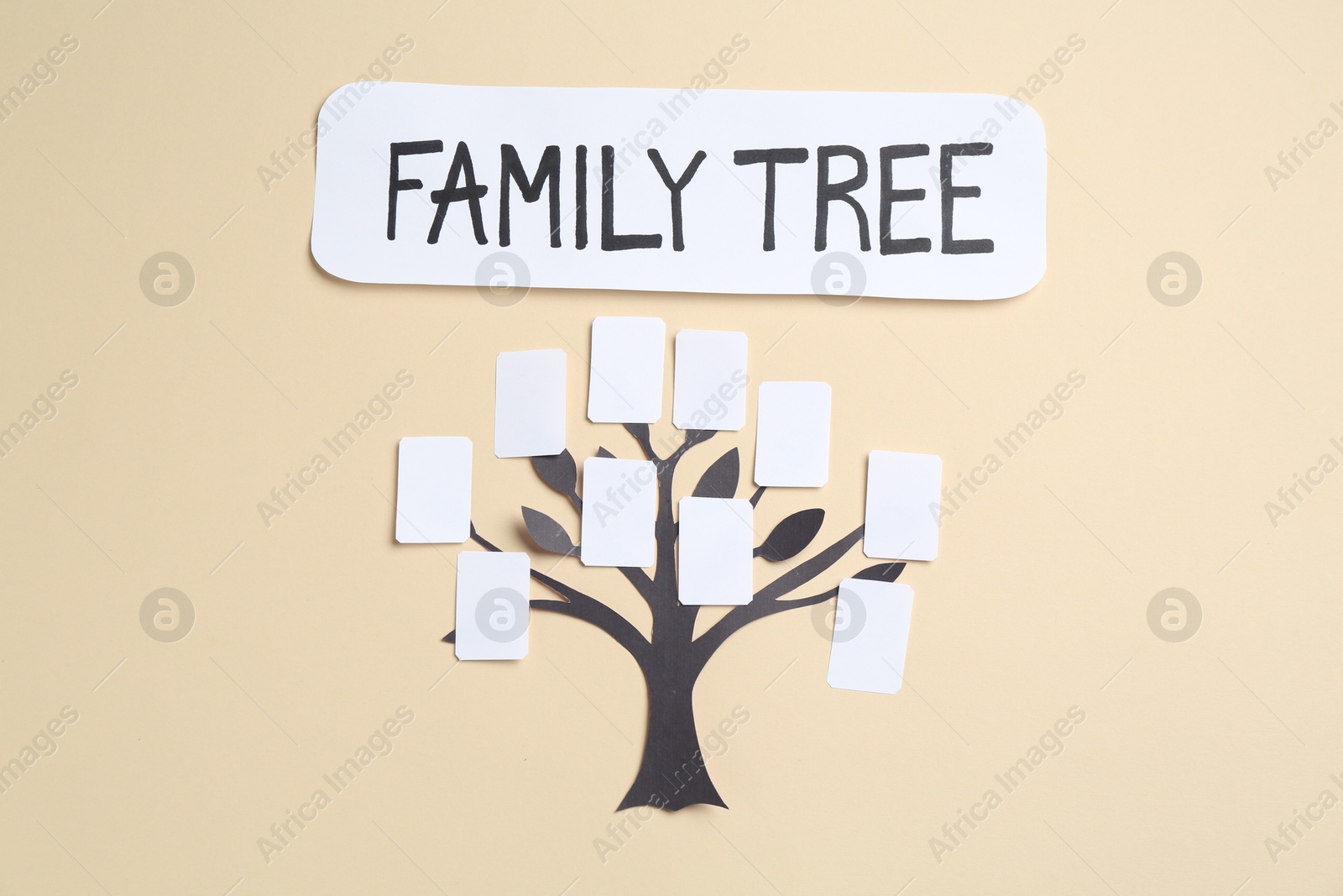 Family tree on beige background, top view Photo of Family tree on beige background, top view