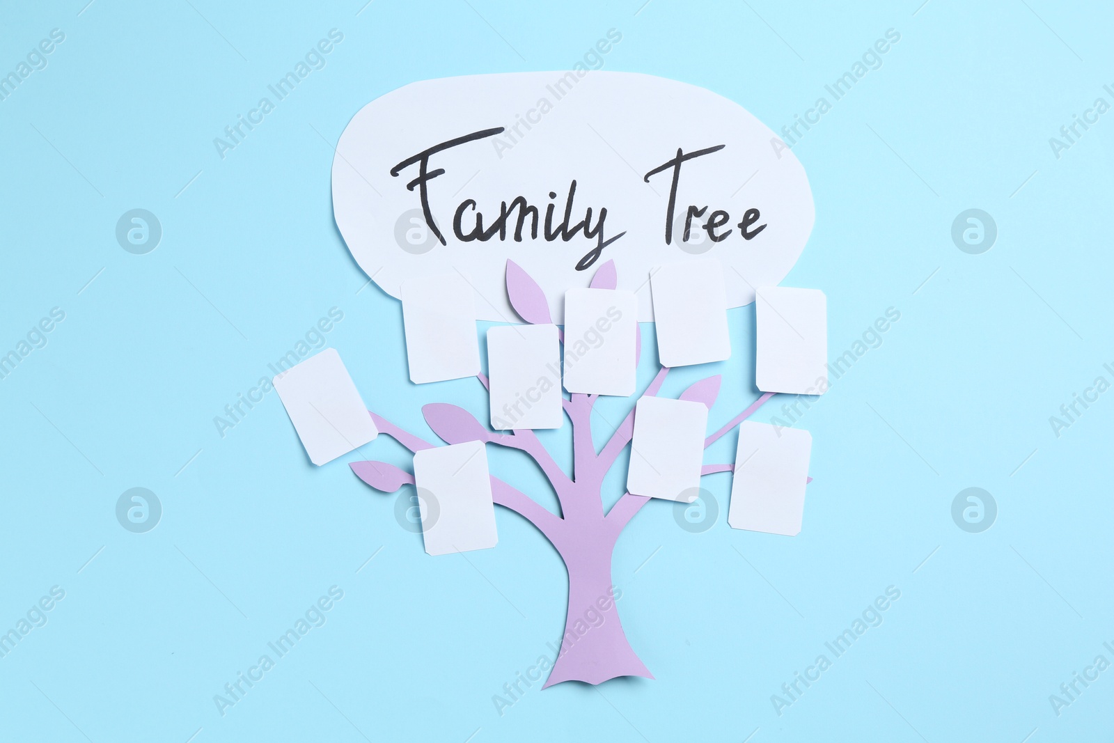 Family tree on light blue background, top view Photo of Family tree on light blue background, top view