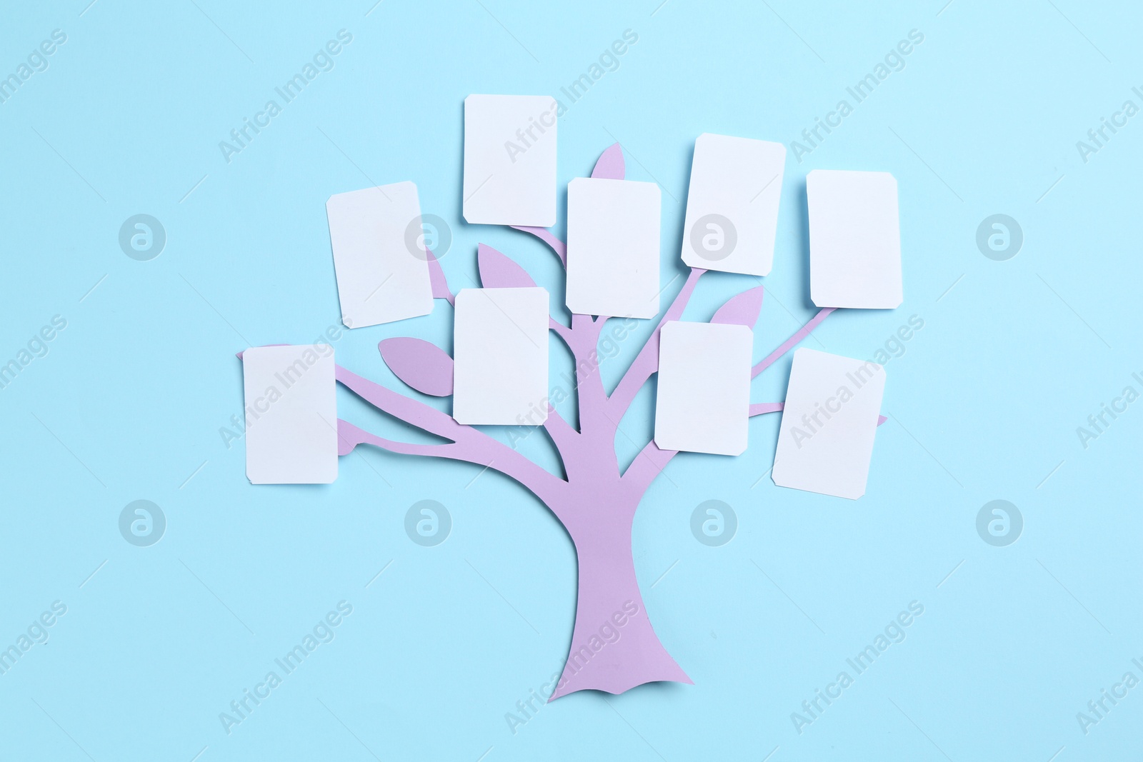 Family tree on light blue background, top view Photo of Family tree on light blue background, top view