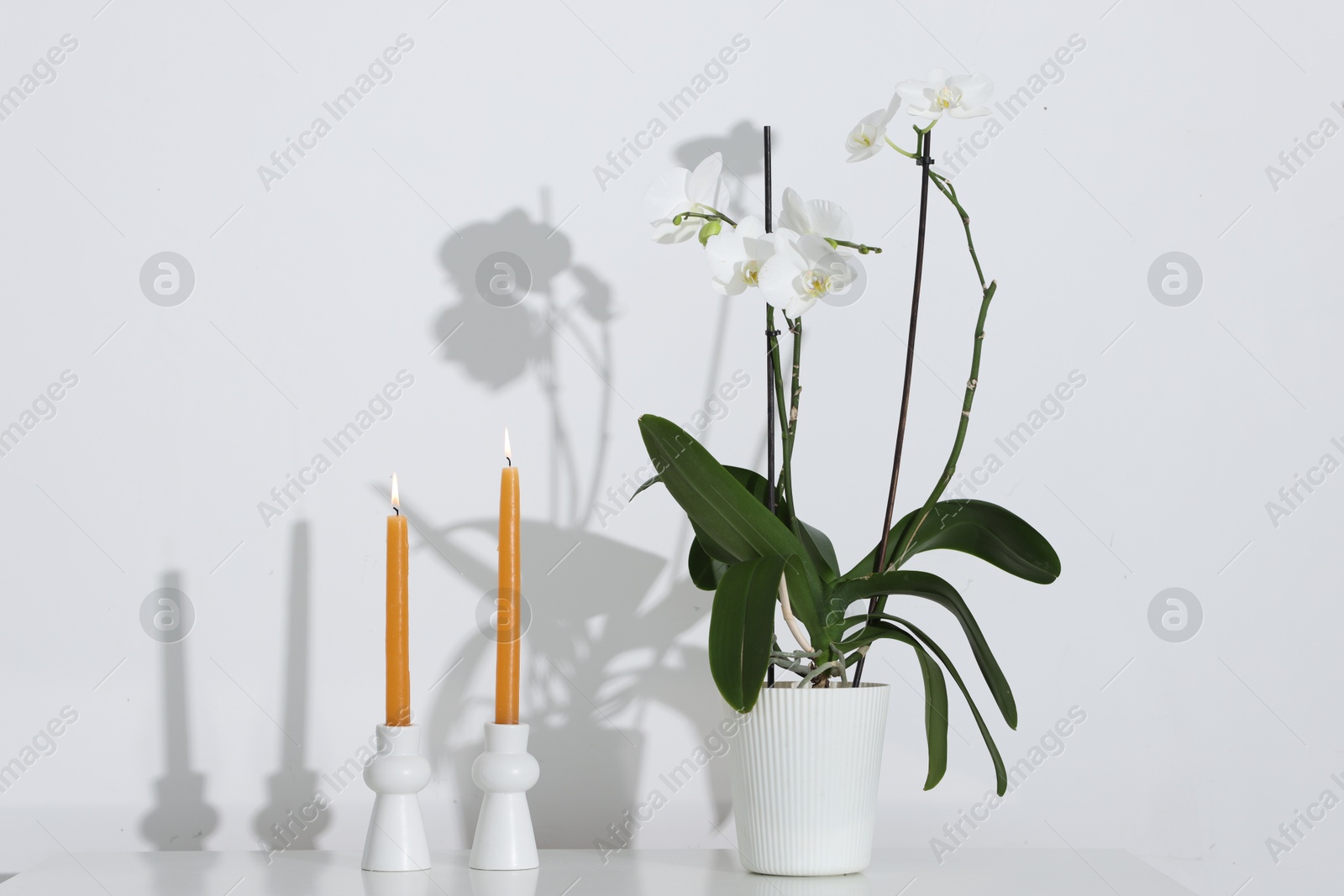 Stylish candlesticks with burning candles and orchid flower on white table indoors Photo of Stylish candlesticks with burning candles and orchid flower on white table indoors