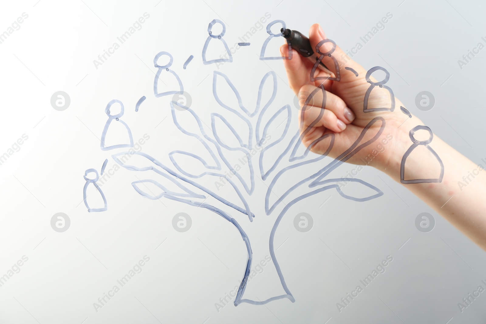Woman drawing family tree on screen against light background, closeup Photo of Woman drawing family tree on screen against light background, closeup