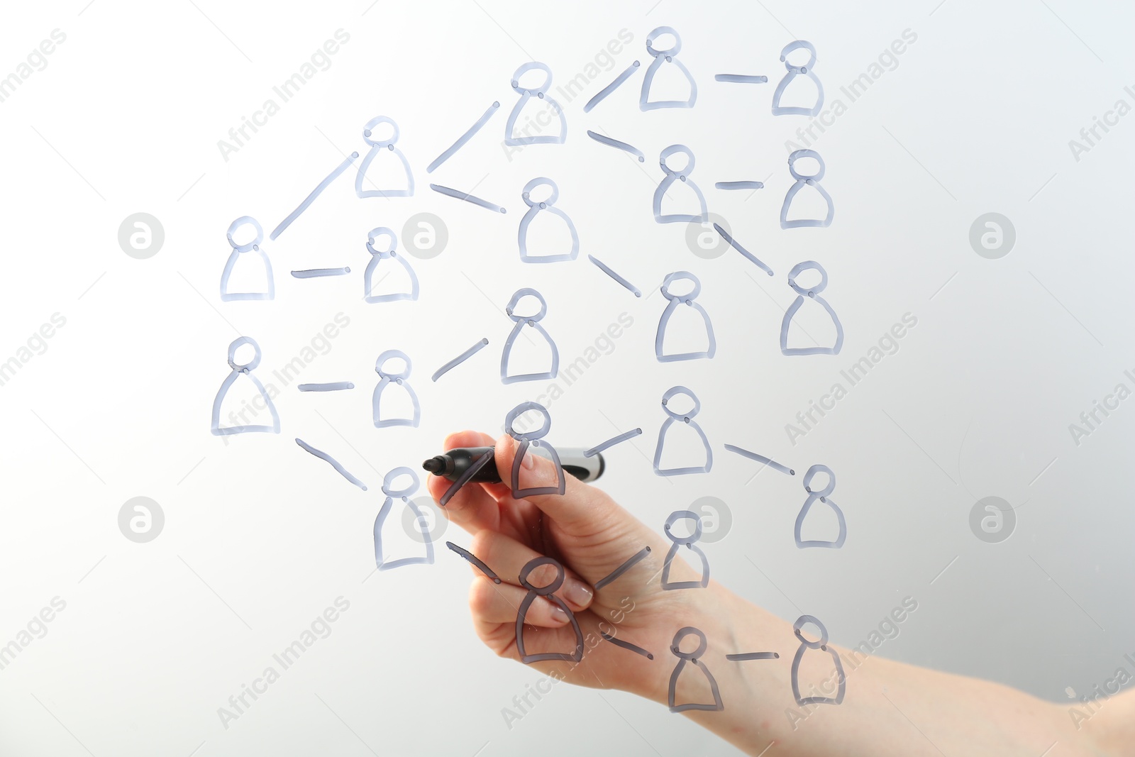 Woman drawing family tree on screen against light background, closeup Photo of Woman drawing family tree on screen against light background, closeup