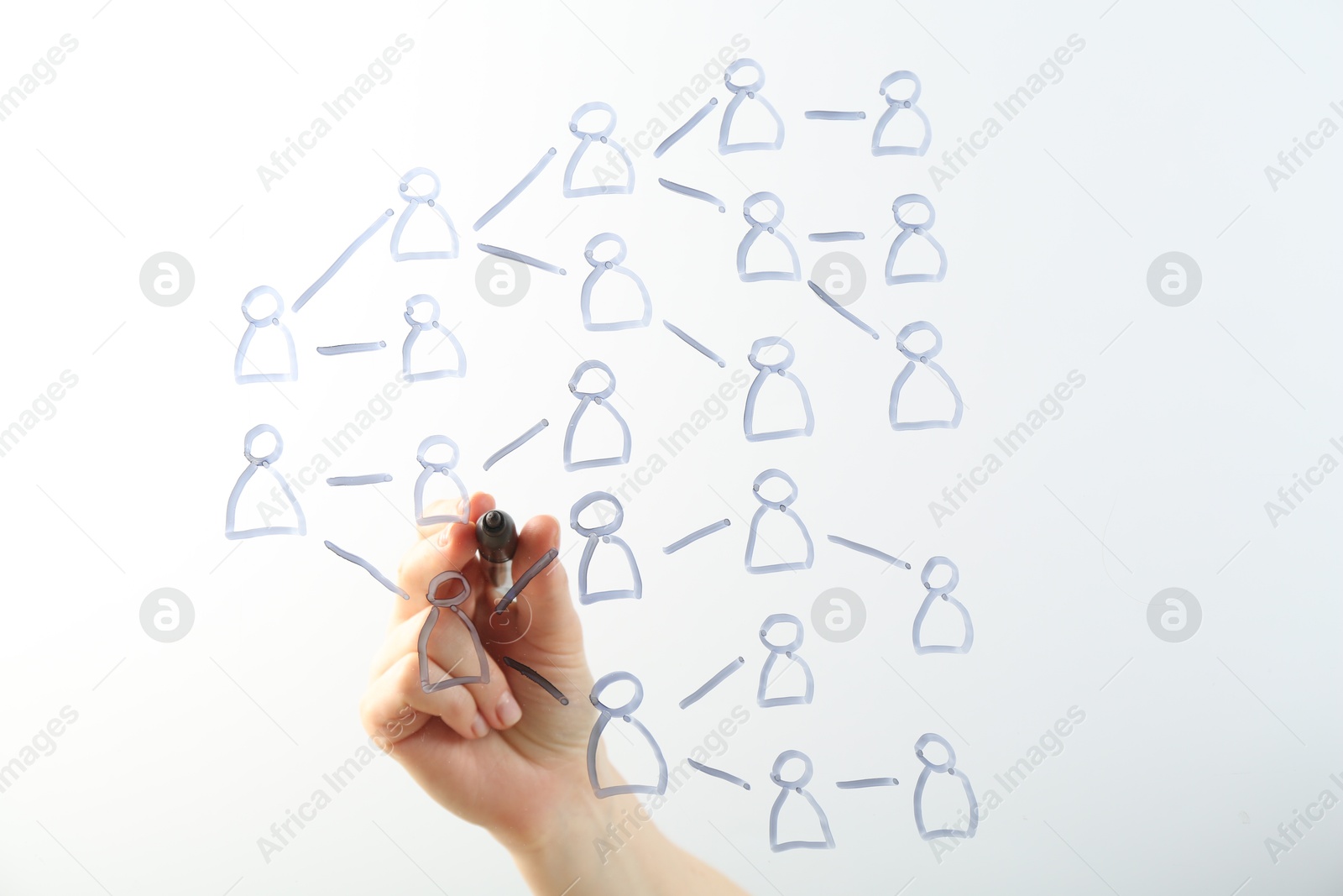 Woman drawing family tree on screen against light background, closeup Photo of Woman drawing family tree on screen against light background, closeup