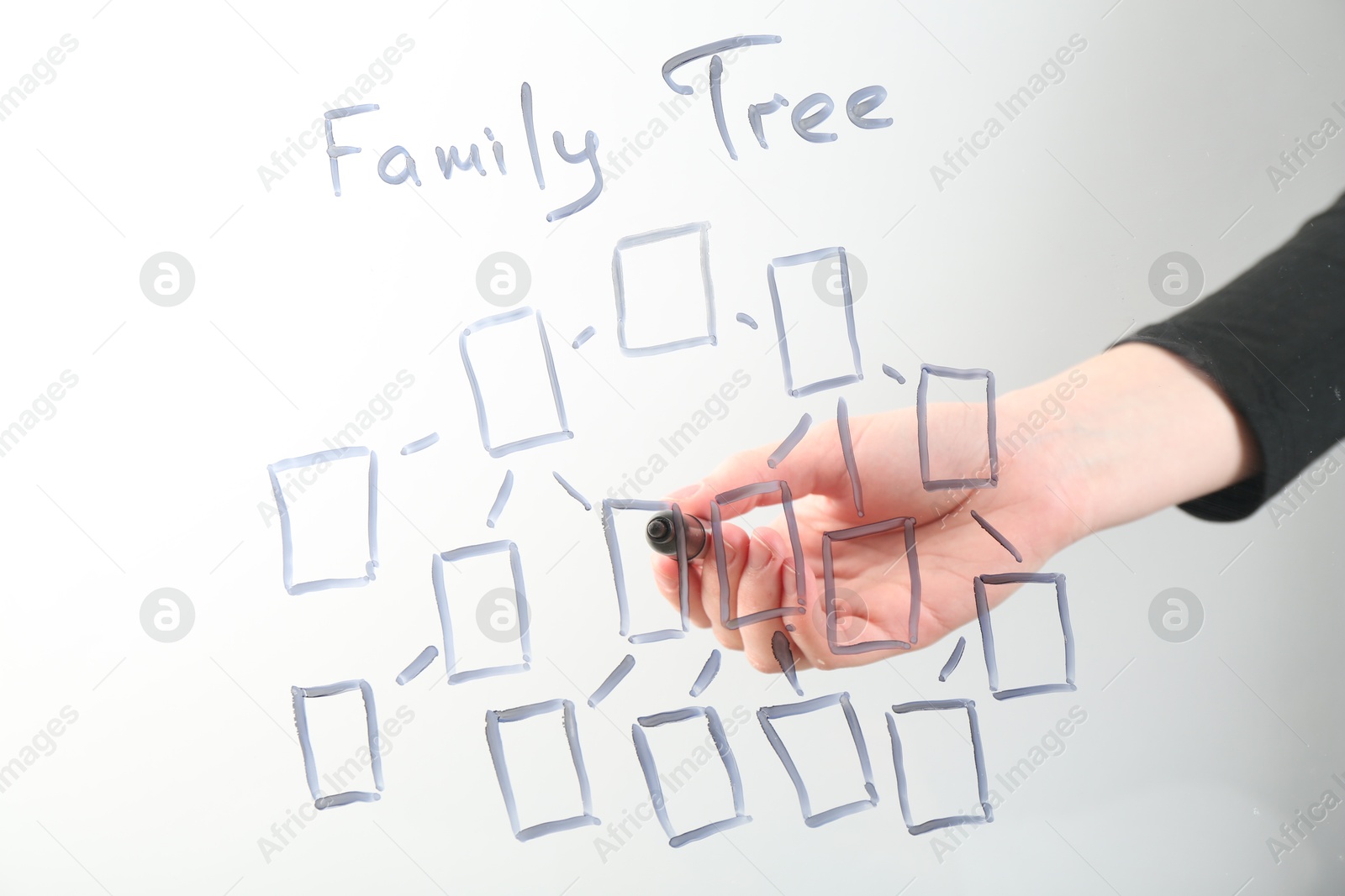 Woman drawing family tree on screen against light background, closeup Photo of Woman drawing family tree on screen against light background, closeup