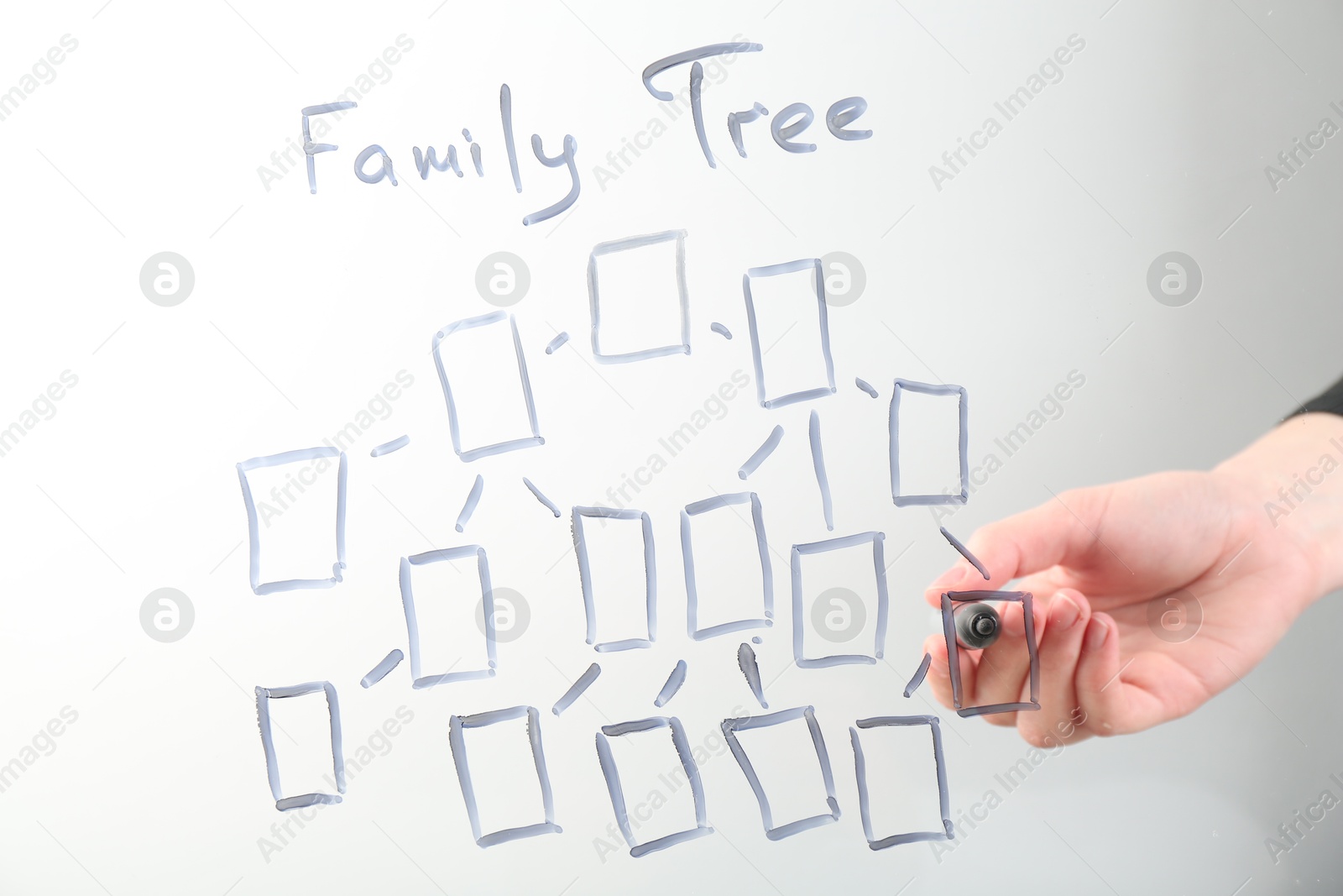 Woman drawing family tree on screen against light background, closeup Photo of Woman drawing family tree on screen against light background, closeup