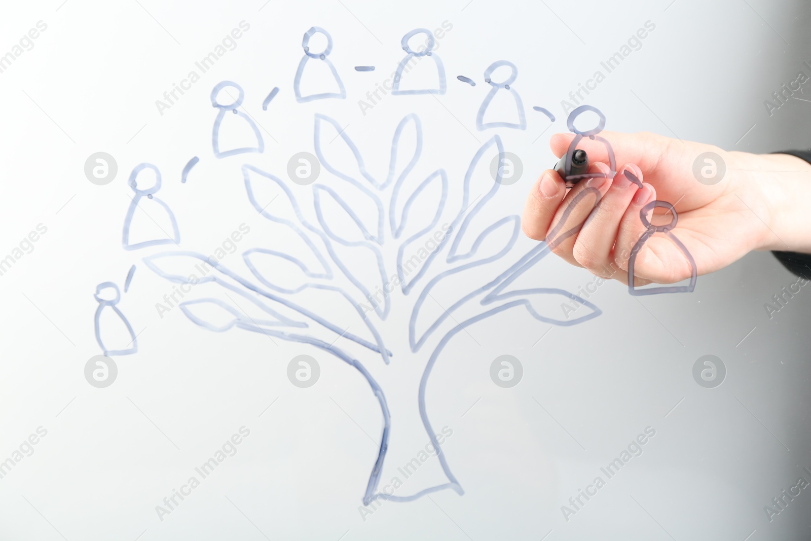 Woman drawing family tree on screen against light background, closeup Photo of Woman drawing family tree on screen against light background, closeup