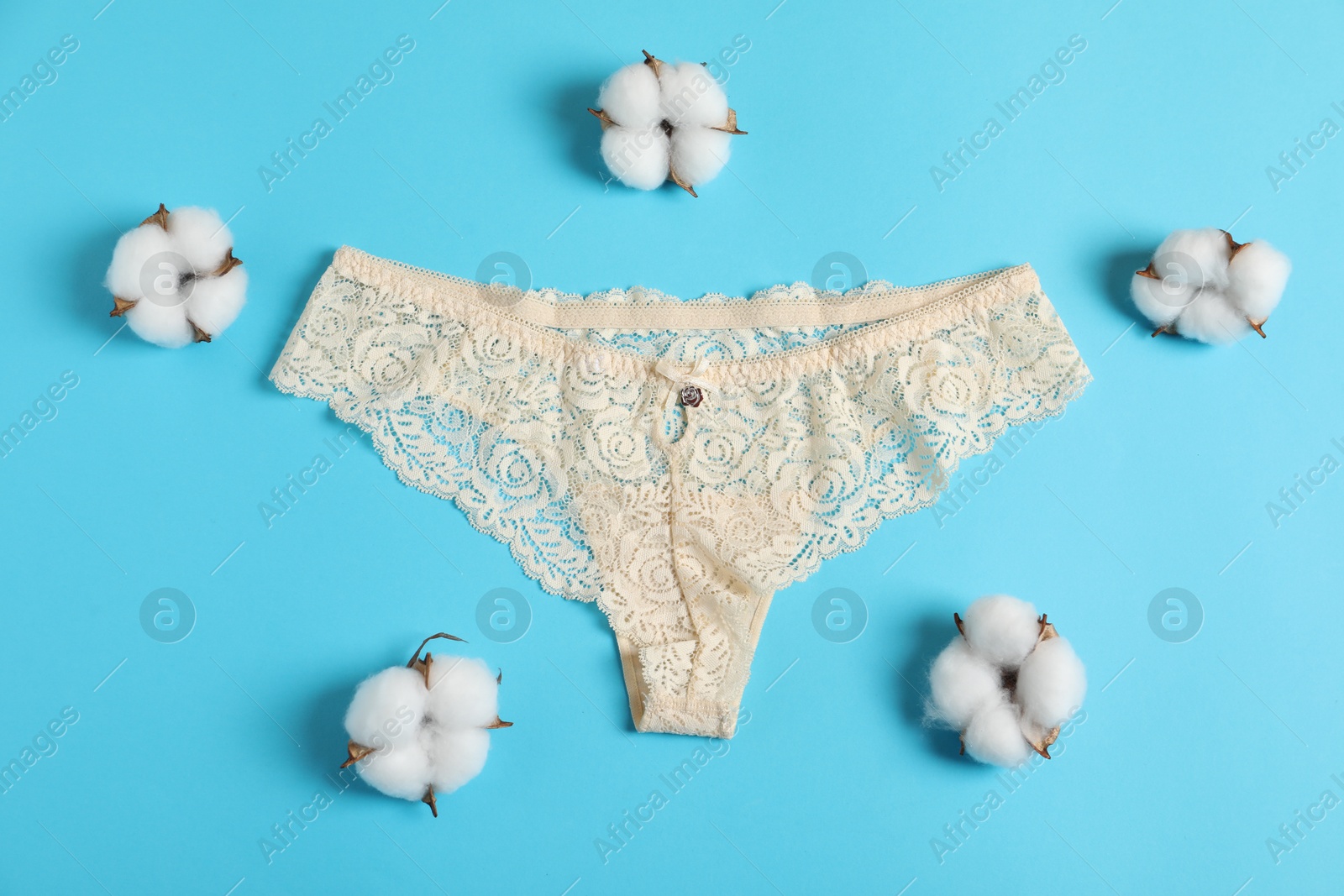 Women's underwear. Beautiful panties and cotton flowers on light blue background, flat lay Photo of Women's underwear. Beautiful panties and cotton flowers on light blue background, flat lay
