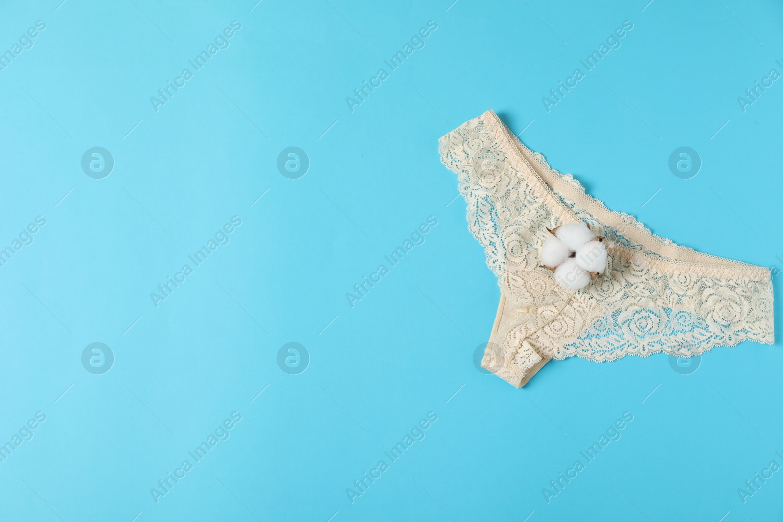 Women's underwear. Beautiful panties and cotton flower on light blue background, top view. Space for text Photo of Women's underwear. Beautiful panties and cotton flower on light blue background, top view. Space for text