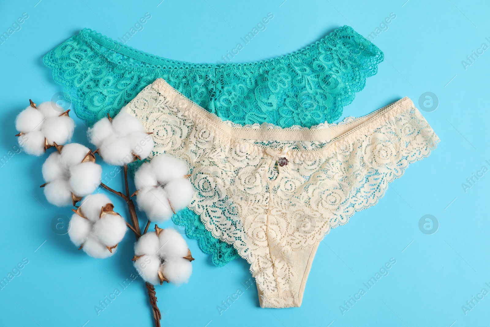 Women's underwear. Beautiful panties and cotton flowers on light blue background, top view Photo of Women's underwear. Beautiful panties and cotton flowers on light blue background, top view