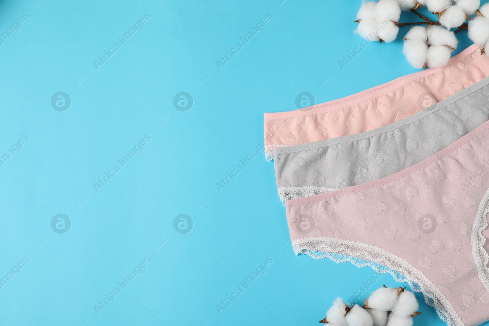 Women's underwear. Beautiful panties and cotton flowers on light blue background, flat lay. Space for text Photo of Women's underwear. Beautiful panties and cotton flowers on light blue background, flat lay. Space for text