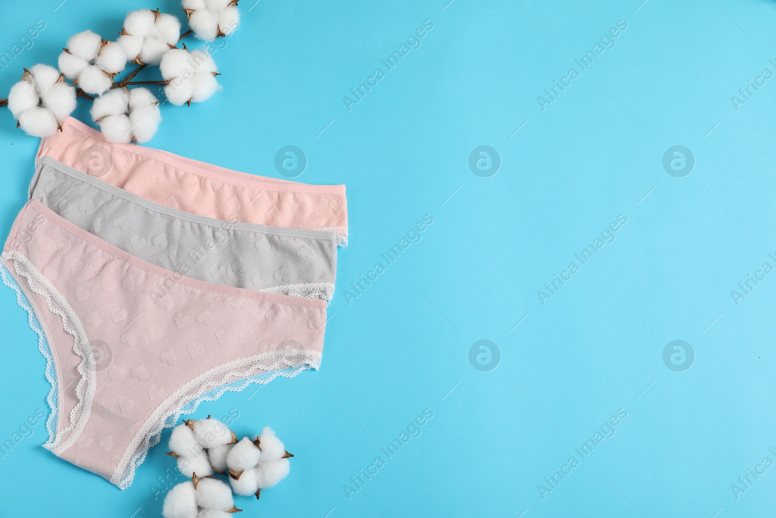 Women's underwear. Beautiful panties and cotton flowers on light blue background, flat lay. Space for text Photo of Women's underwear. Beautiful panties and cotton flowers on light blue background, flat lay. Space for text