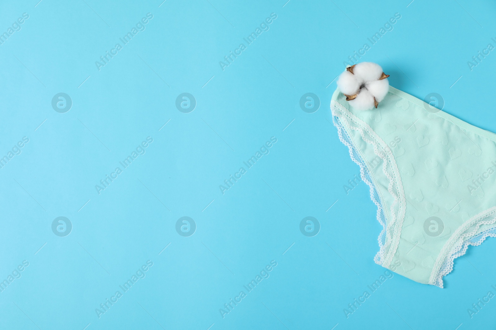 Women's underwear. Beautiful panties and cotton flower on light blue background, top view. Space for text Photo of Women's underwear. Beautiful panties and cotton flower on light blue background, top view. Space for text