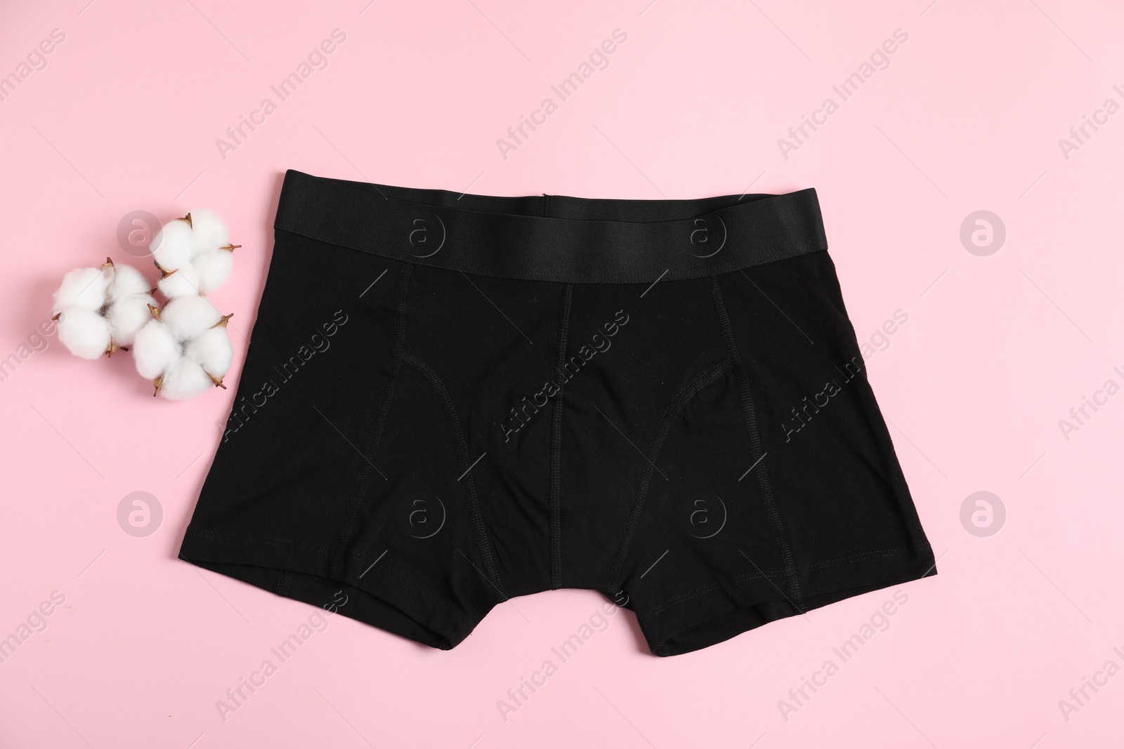 Comfortable black men's underwear and cotton flowers on pink background, flat lay Photo of Comfortable black men's underwear and cotton flowers on pink background, flat lay