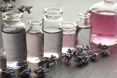 Photo of Open perfume bottles with aromatic essential oils and lavender branches on dark textured table, closeup