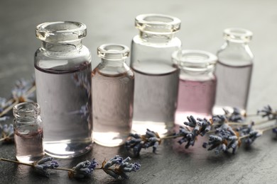Photo of Open perfume bottles with aromatic essential oils and lavender branches on dark textured table, closeup