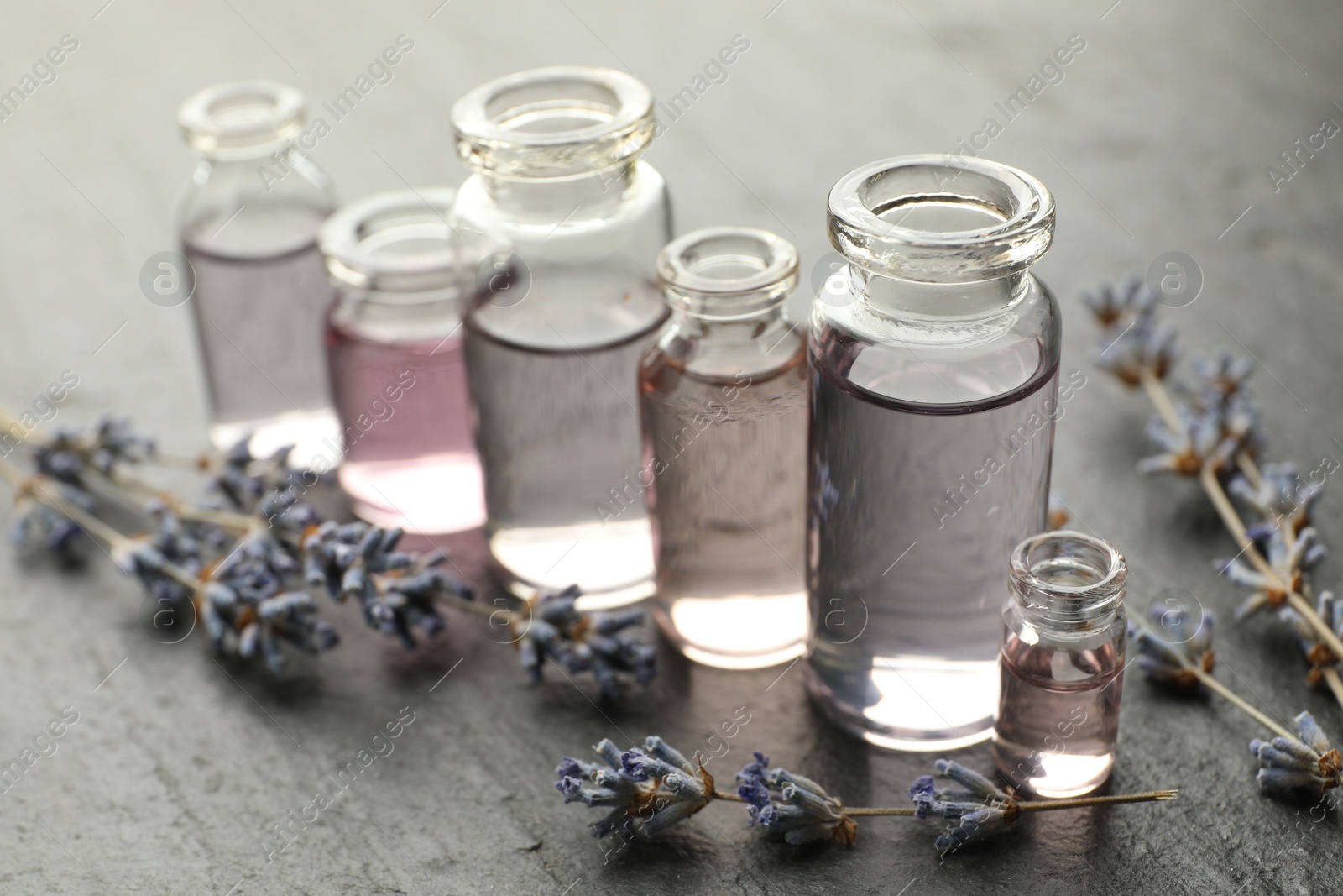 Open perfume bottles with aromatic essential oils and lavender branches on dark textured table, closeup Photo of Open perfume bottles with aromatic essential oils and lavender branches on dark textured table, closeup