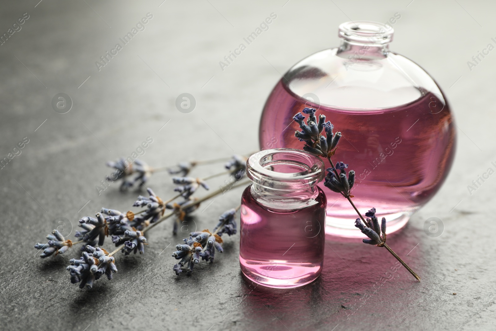 Photo of Open perfume bottles with aromatic essential oils and lavender branches on dark textured table, closeup