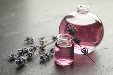 Photo of Open perfume bottles with aromatic essential oils and lavender branches on dark textured table, closeup