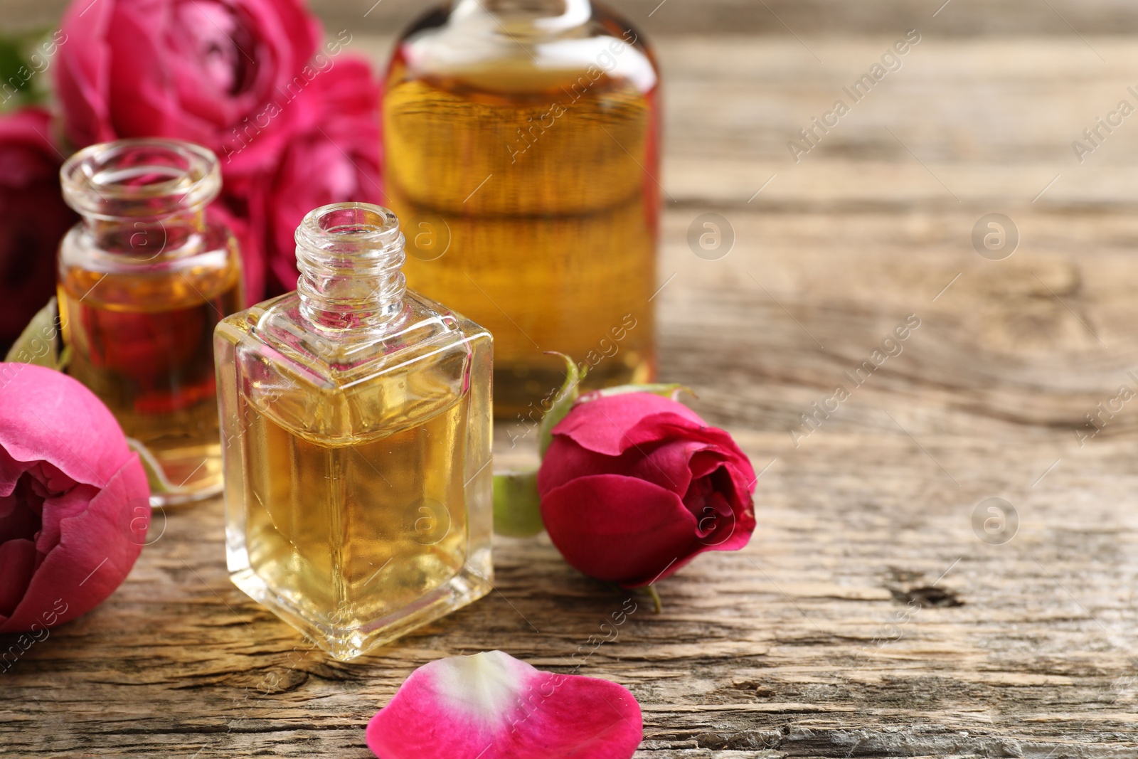 Open perfume bottles with aromatic essential oils and roses on wooden table, closeup. Space for text Photo of Open perfume bottles with aromatic essential oils and roses on wooden table, closeup. Space for text