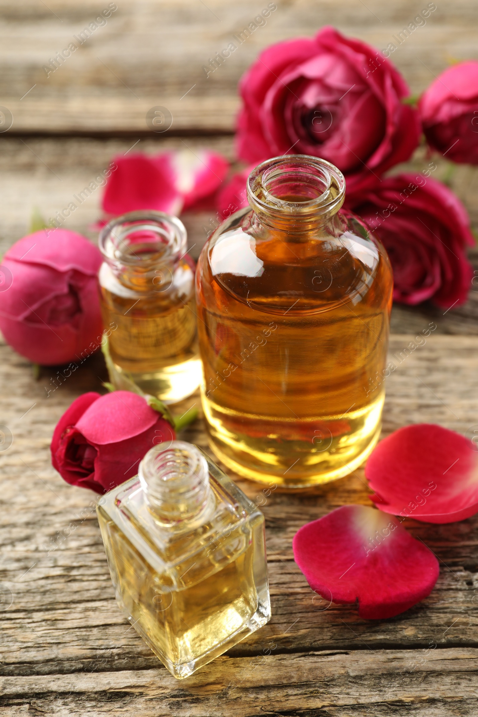 Open perfume bottles with aromatic essential oils and roses on wooden table, closeup Photo of Open perfume bottles with aromatic essential oils and roses on wooden table, closeup