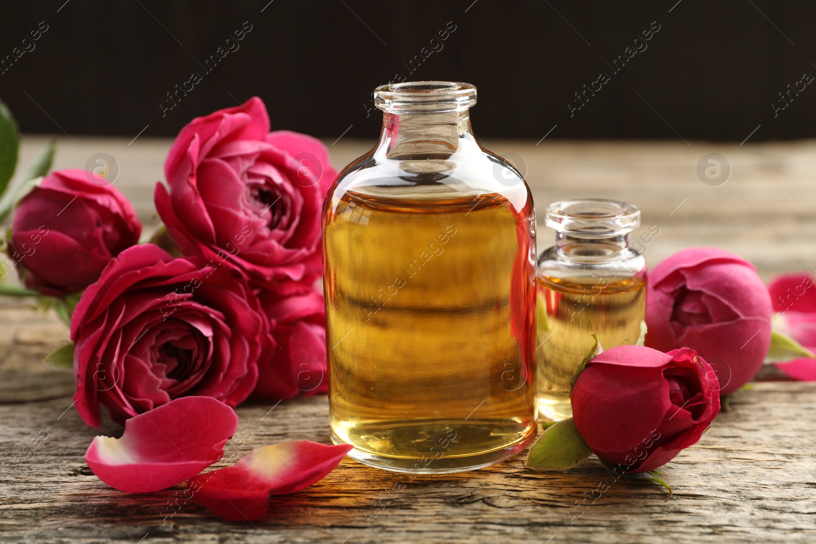 Open perfume bottles with aromatic essential oils and roses on wooden table, closeup Photo of Open perfume bottles with aromatic essential oils and roses on wooden table, closeup