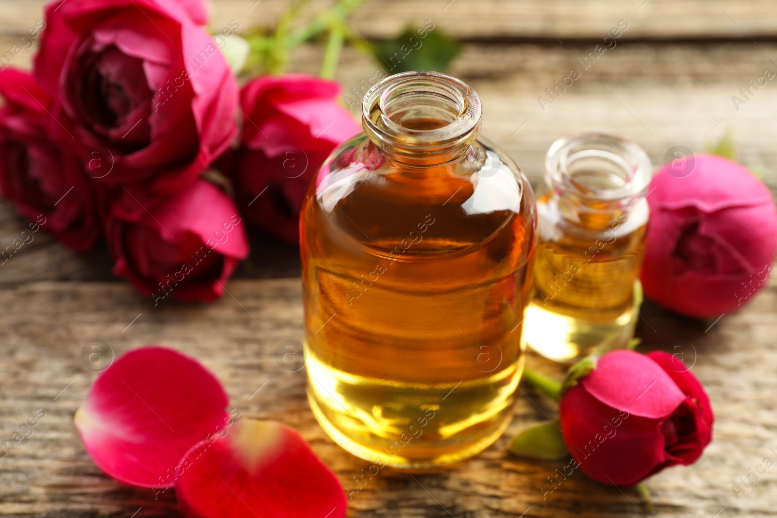 Open perfume bottles with aromatic essential oils and roses on wooden table, closeup Photo of Open perfume bottles with aromatic essential oils and roses on wooden table, closeup