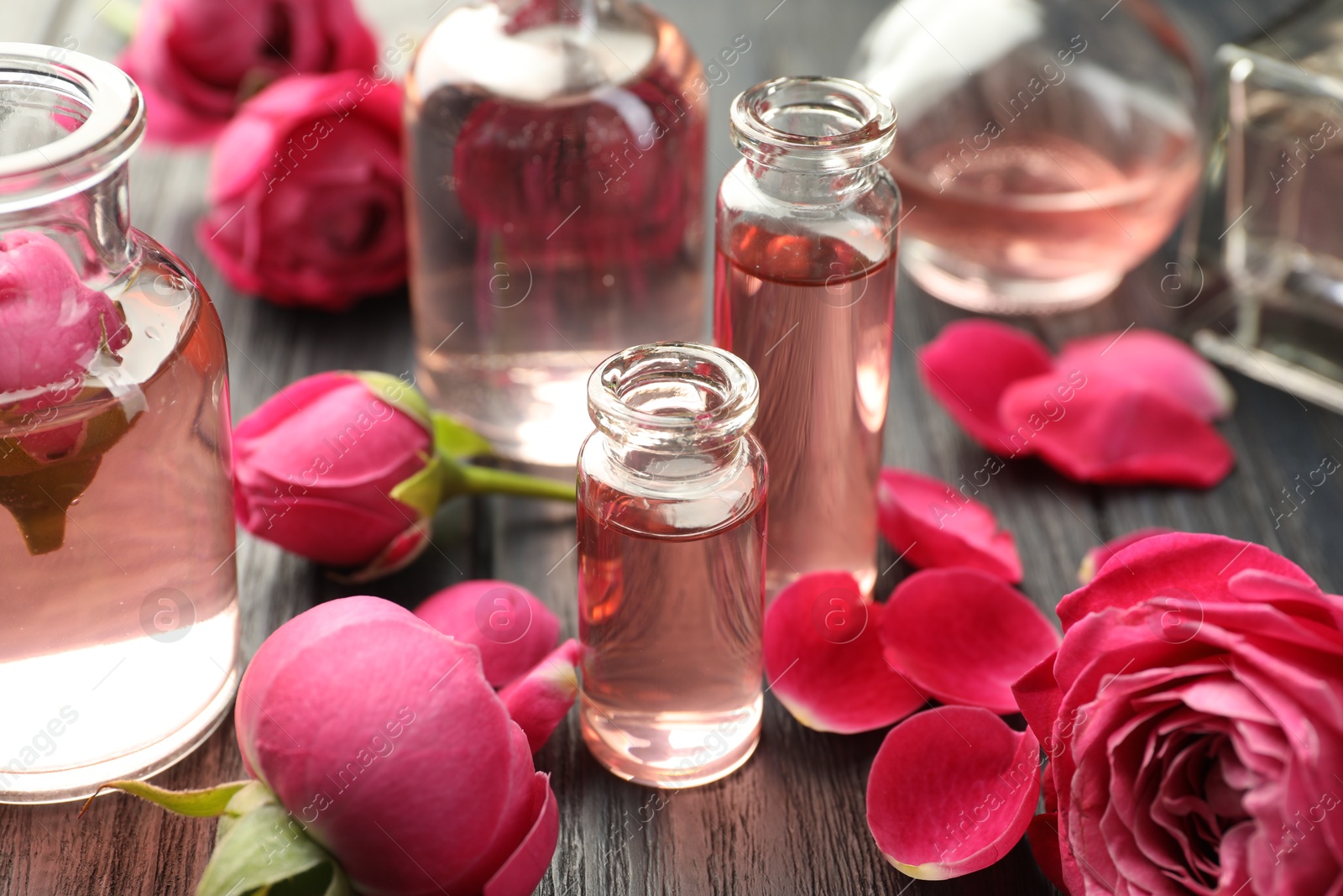 Open perfume bottles with aromatic essential oils and roses on grey wooden table, closeup Photo of Open perfume bottles with aromatic essential oils and roses on grey wooden table, closeup