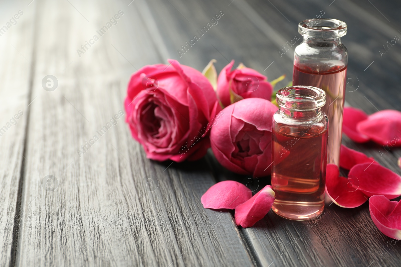 Open perfume bottles with aromatic essential oils and roses on grey wooden table, closeup. Space for text Photo of Open perfume bottles with aromatic essential oils and roses on grey wooden table, closeup. Space for text
